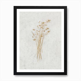 Delicate Wild Botanicals Art Print