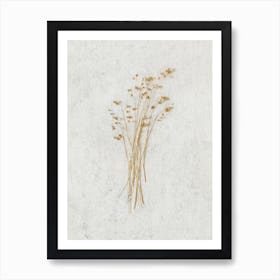 Delicate Wild Botanicals Art Print