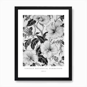 Hibiscus B&W Vintage Botanical Poster Art Print