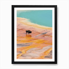 Bison In Yellowstone Art Print