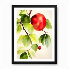 Rambutan Italian Watercolour fruit Art Print