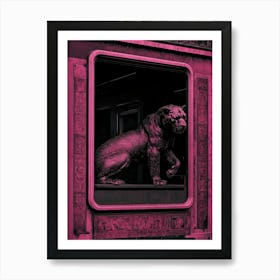 Lion In The Window Art Print