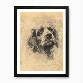 Clumber Spaniel Dog Charcoal Line 4 Art Print