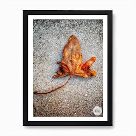 Dying alone - wilted leaf, wilted bouquet, autumn falls, Art Print