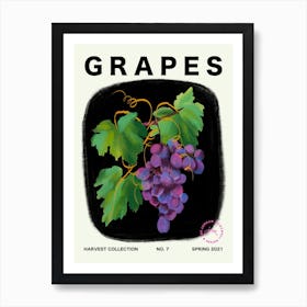 Grapes Fruit Kitchen Typography Art Print