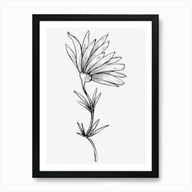 Line Spring Awakening Blooming Flower Art Print