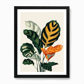 Calathea Plant Minimalist Illustration 3 Art Print