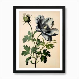 Striking Beauty in Black and White: A Single Poppy in Full Bloom   Art Print