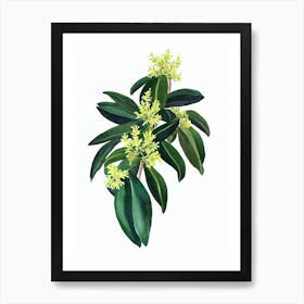 Azalea Care (Rhododendron Simsii) Watercolor Art Print