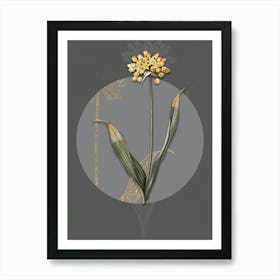 Vintage Botanical Golden Garlic on Circle Gray on Gray n.0246 Art Print
