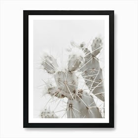 Whttcactus Art Print