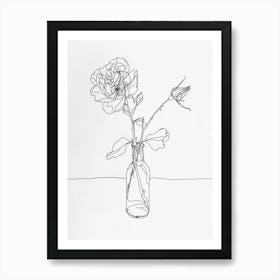 English Rose In A Vase Line Drawing 3 Art Print