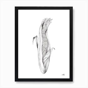 Open Corn on the Cob Art Print