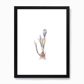 Stained Glass Spring Crocus Mosaic Botanical Illustration on White n.0033 Art Print
