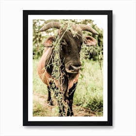 Botanical Bull Art Print