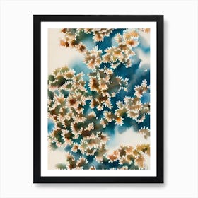 Acropora Verweyi Vintage Graphic Watercolour Art Print