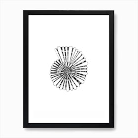 Salt And Surf   Shell Art Print