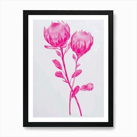 Hot Pink Protea 3 Art Print