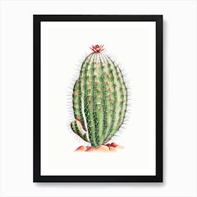 Spider Cactus Marker Art Art Print