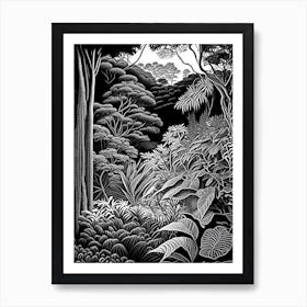 Mount Tomah Botanic Garden, 1, Australia Linocut Black And White Vintage Art Print