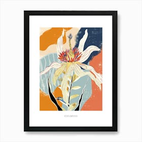 Colourful Flower Illustration Poster Edelweiss 4 Art Print