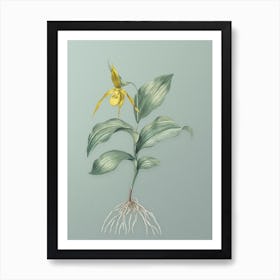 Vintage Yellow Lady's Slipper Orchid Botanical Art on Mint Green n.0640 Art Print