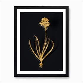 Vintage Arabian Starflower Botanical in Gold on Black n.0029 Art Print
