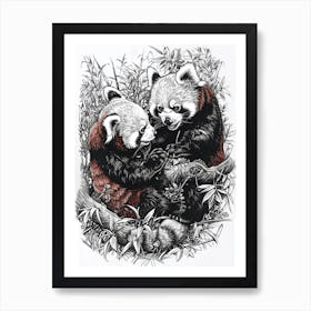 Red Panda Playing Together In A Meadow Ink Illustration 3 Art Print