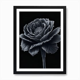 A Carnation In Black White Line Art Vertical Composition 10 Art Print