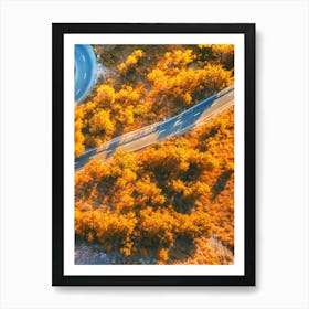 Aerial View Of A Winding Road 1 Art Print