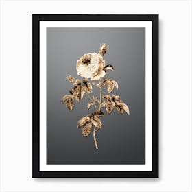 Gold Botanical Provence Rose Bloom on Soft Gray Art Print