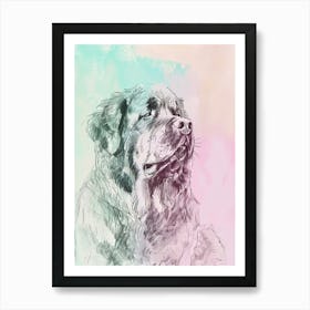 Newfoundland Pastel Line Illustration 2 Art Print