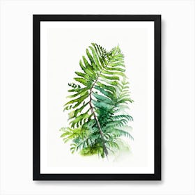 Dwarf Tree Fern Watercolour Art Print