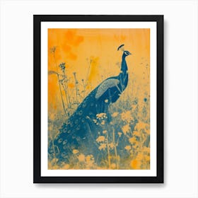 Vintage Orange & Blue Peacock In The Wild 1 Art Print