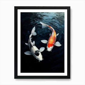 Koi Fish 4 Poster