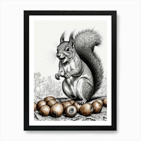 Squirrel With Nuts Art Print