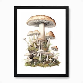 Storybook Mushrooms 2 Art Print