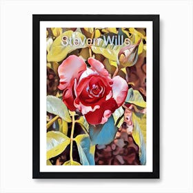 Roses By Steven Wills Art Print