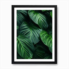 Tropical Leaves Background 4 Art Print