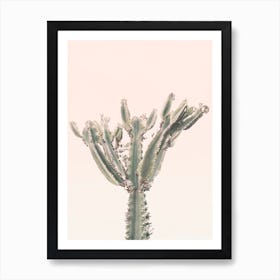 Sunset Cactus Ii Art Print