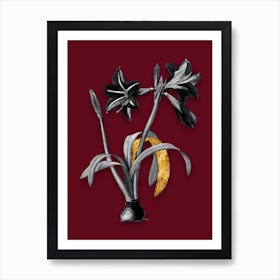 Vintage Brazilian Amaryllis Black and White Gold Leaf Floral Art on Burgundy Red n.0540 Art Print