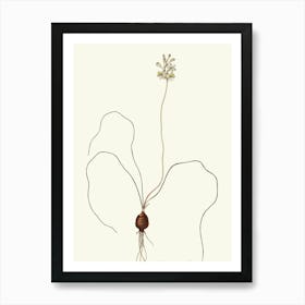 Beetroot Art Print