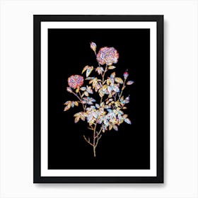 Stained Glass Burgundy Cabbage Rose Mosaic Botanical Illustration on Black n.0223 Art Print