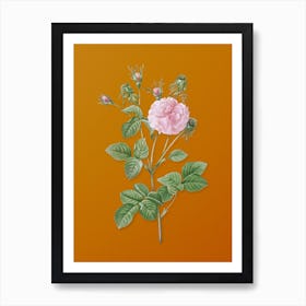 Vintage Pink Agatha Rose Botanical on Sunset Orange n.0804 Art Print