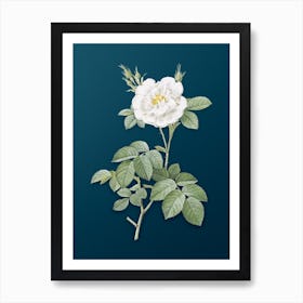 Vintage White Rose Botanical Art on Teal Blue n.0624 Art Print
