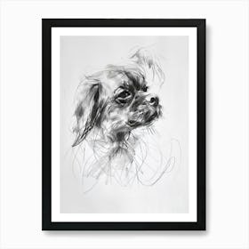 Tibetan Spaniel Dog Charcoal Line 3 Art Print