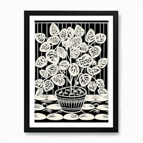 B&W Plant Illustration Hoya 2 Art Print