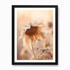 Boho Dried Flowers Sunflower 1 Art Print