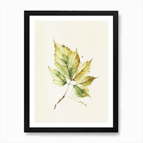 Walnuts Leaf Minimalist Watercolour Art Print