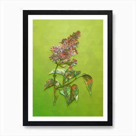 Vintage Common Pink Lilac Plant Botanical Art on Love Bird Green n.0077 Art Print